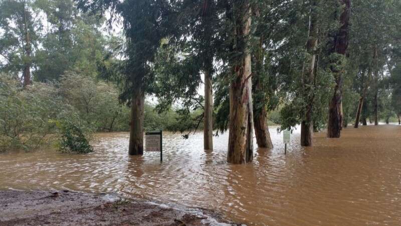 גן לאומי מקורות הירקון עלה על גדותיו צילום: אורי סולימני, רט״ג